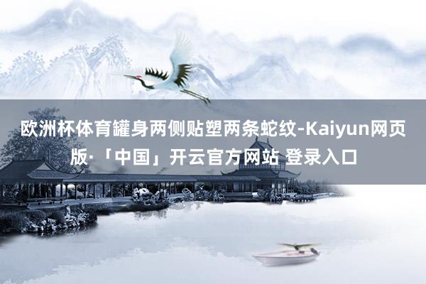 欧洲杯体育罐身两侧贴塑两条蛇纹-Kaiyun网页版·「中国」开云官方网站 登录入口